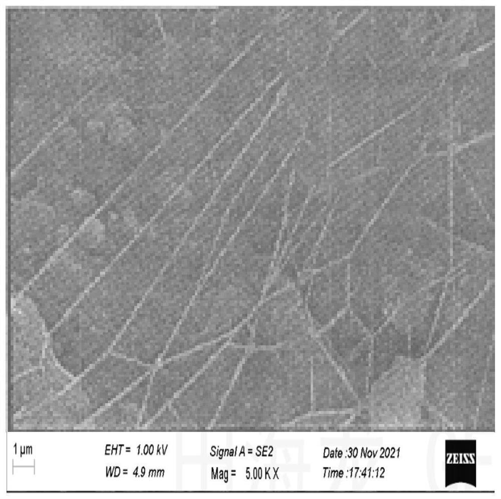 Surface-modified lithium ion battery diaphragm with high ionic conductivity, ultralow moisture and high temperature resistance and preparation method of surface-modified lithium ion battery diaphragm