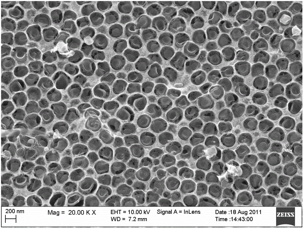 Method for preparing three-dimensional hierarchical porous carbon