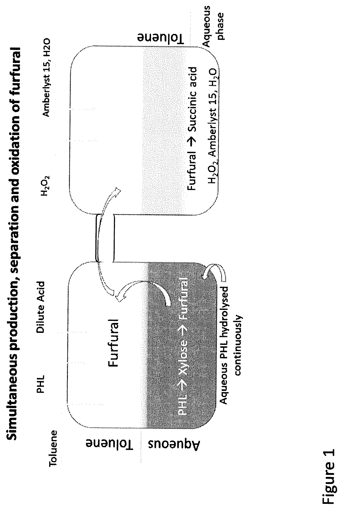 Conversion of Wood Based Hemicellulose Prehydrolysate into Succinic Acid Using a Heterogeneous Acid Catalayst in a Biphasic System