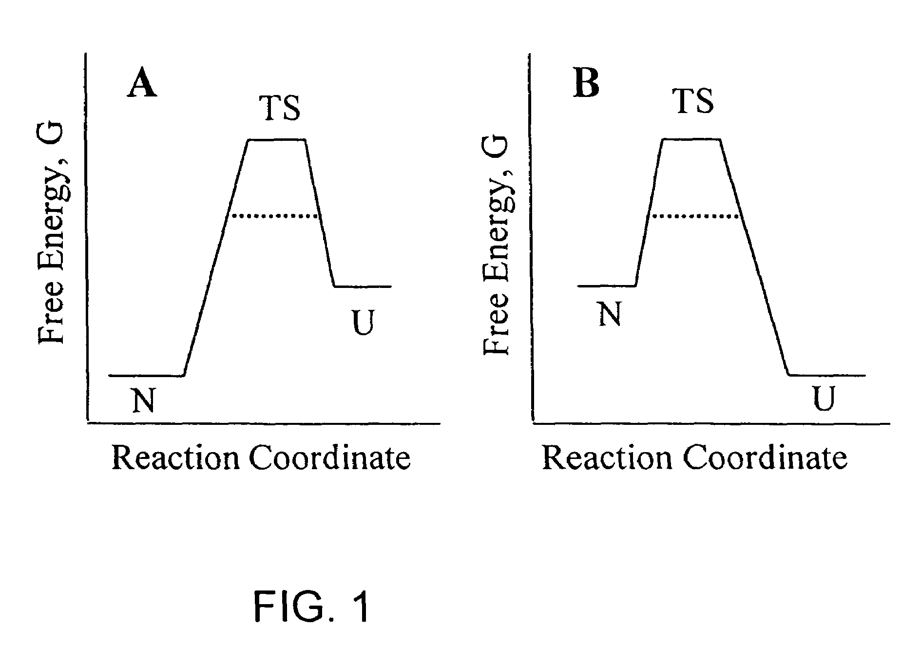 Methods of identifying kinetically stable proteins