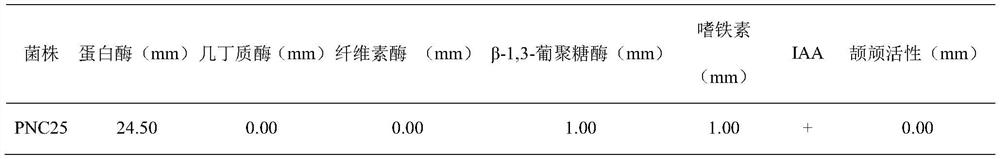 A biocontrol strain pnc25 for controlling litchi frost blight and its application