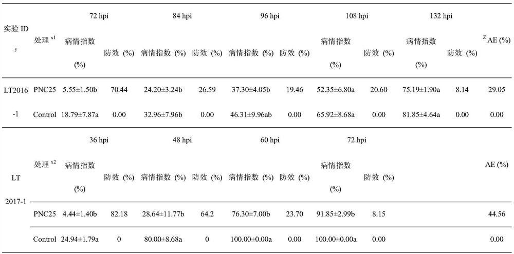 A biocontrol strain pnc25 for controlling litchi frost blight and its application