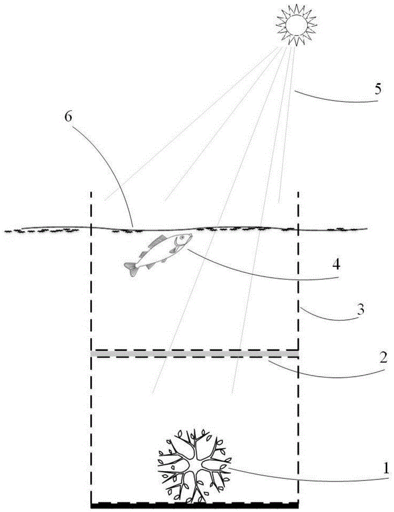 A water purification method based on ecological cages