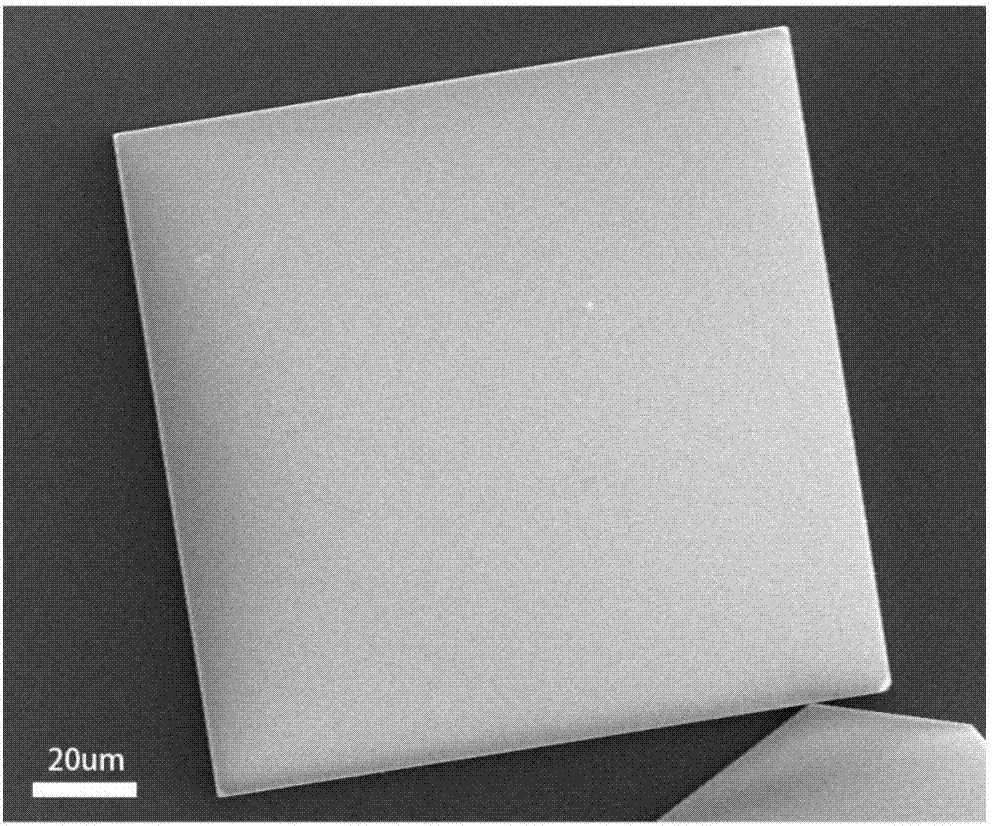 Preparation method of CsPb2Br5 inorganic perovskite nanosheet