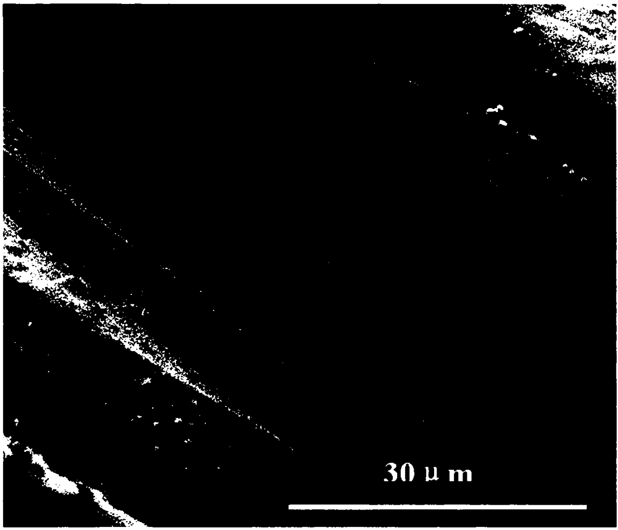 Super-amphiphobic textile finishing agent as well as preparation method and application thereof