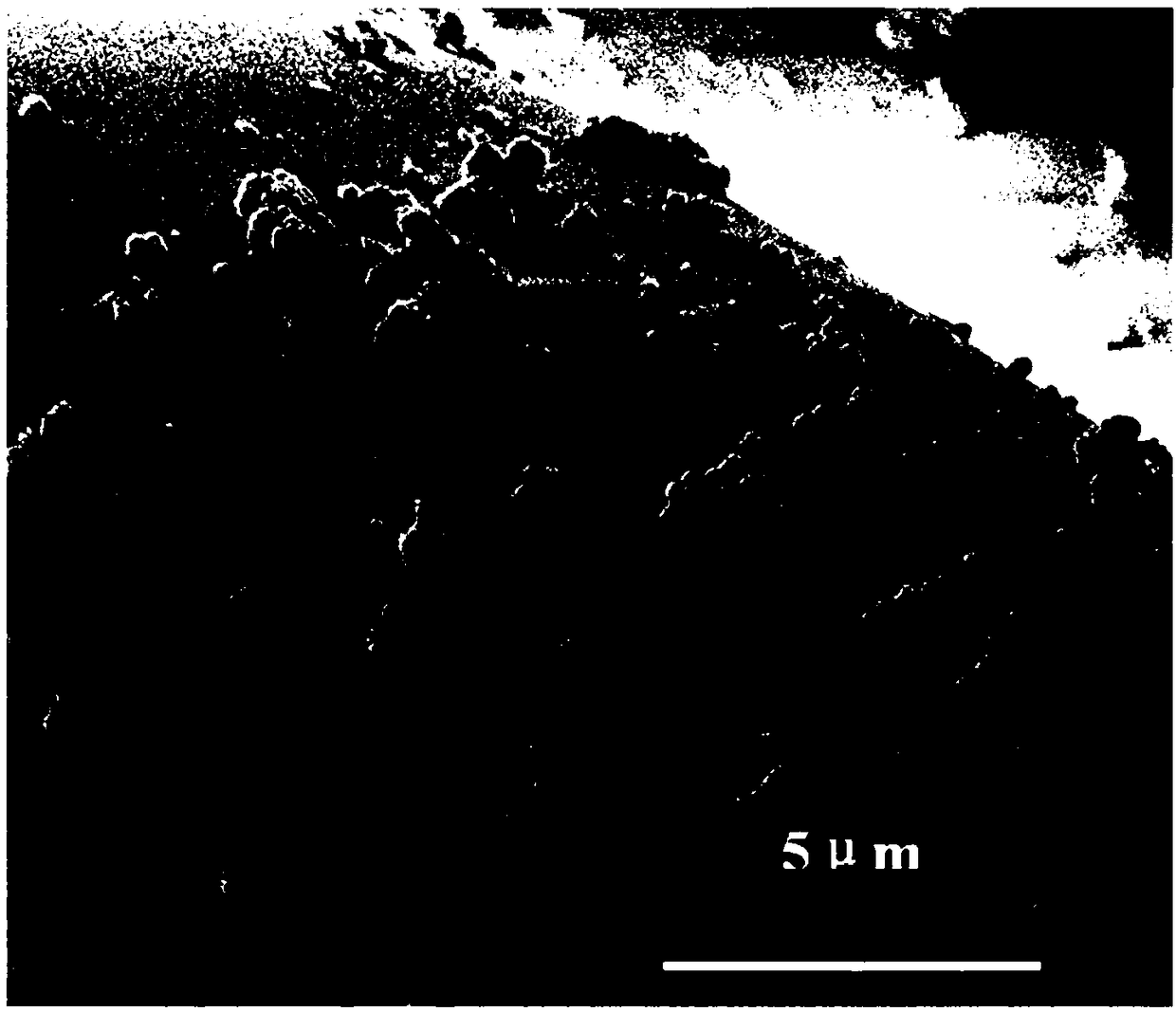 Super-amphiphobic textile finishing agent as well as preparation method and application thereof