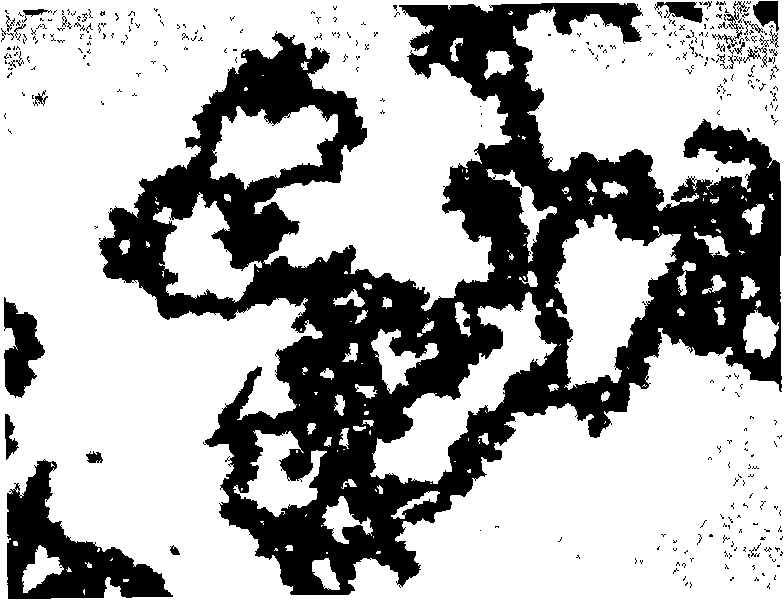 Particles with superparamagnetism and method for manufacturing same