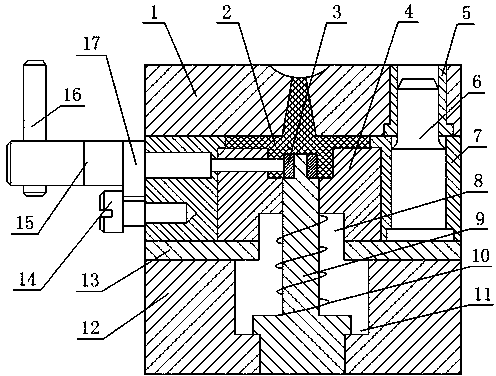 Mold capable of protecting outer wall of molded blank material