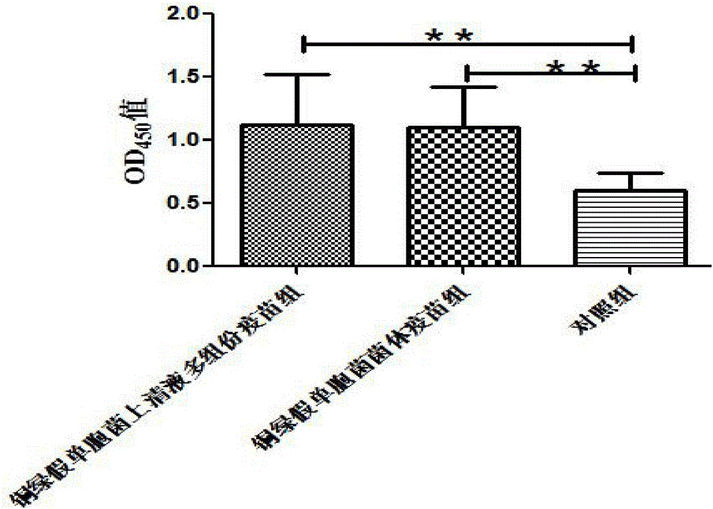 Preparation method of mink hemorrhagic pneumonia inactivated vaccine and application thereof