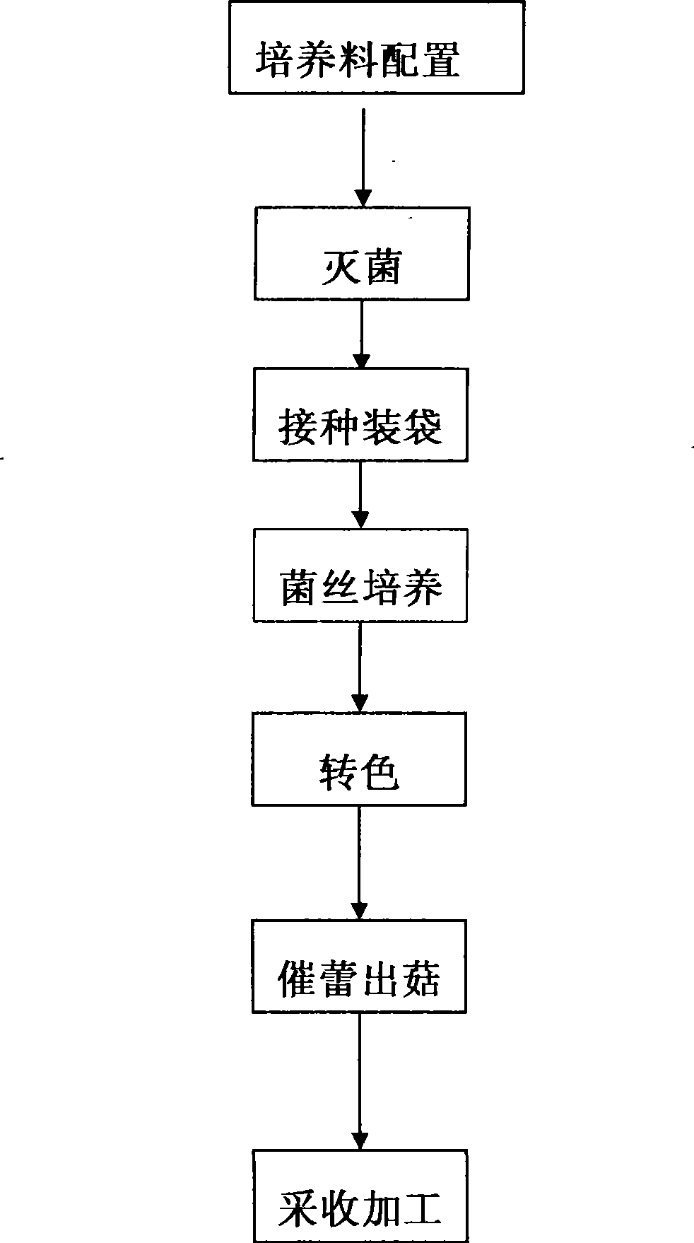 North semi-clinker open type pasania fungus production method