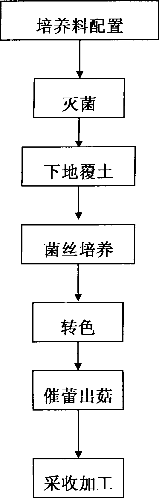 North semi-clinker open type pasania fungus production method