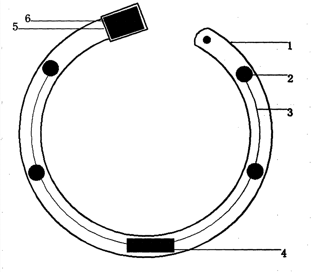 Multifunctional pet collar