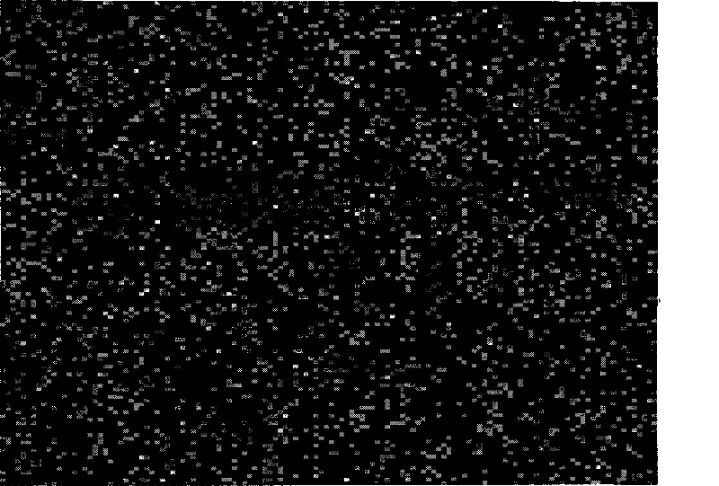 Method for preparing nitrous oxides selectivity reduction catalyst on metal alloy carrier