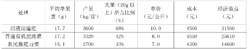 Biogas slurry drip irrigation fertilizer and preparation method thereof