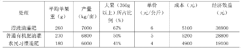 Biogas slurry drip irrigation fertilizer and preparation method thereof