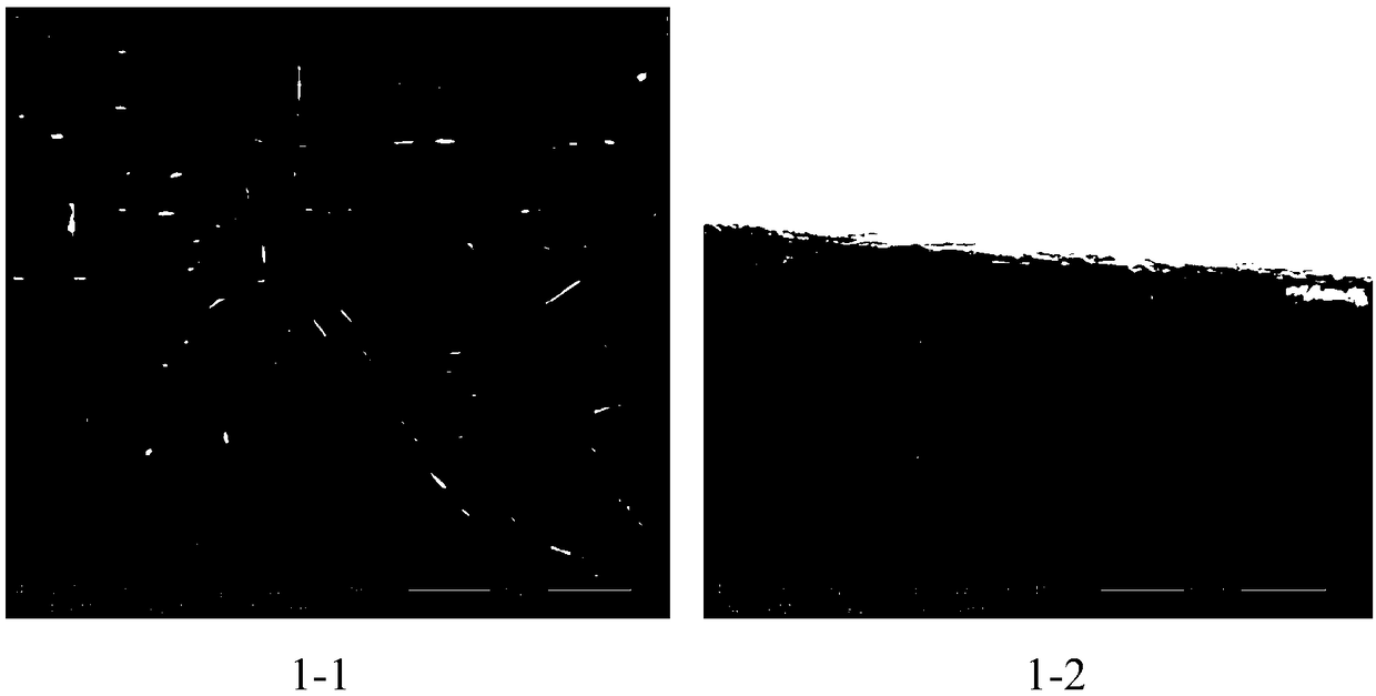 A lithium alloy strip and a preparation method thereof