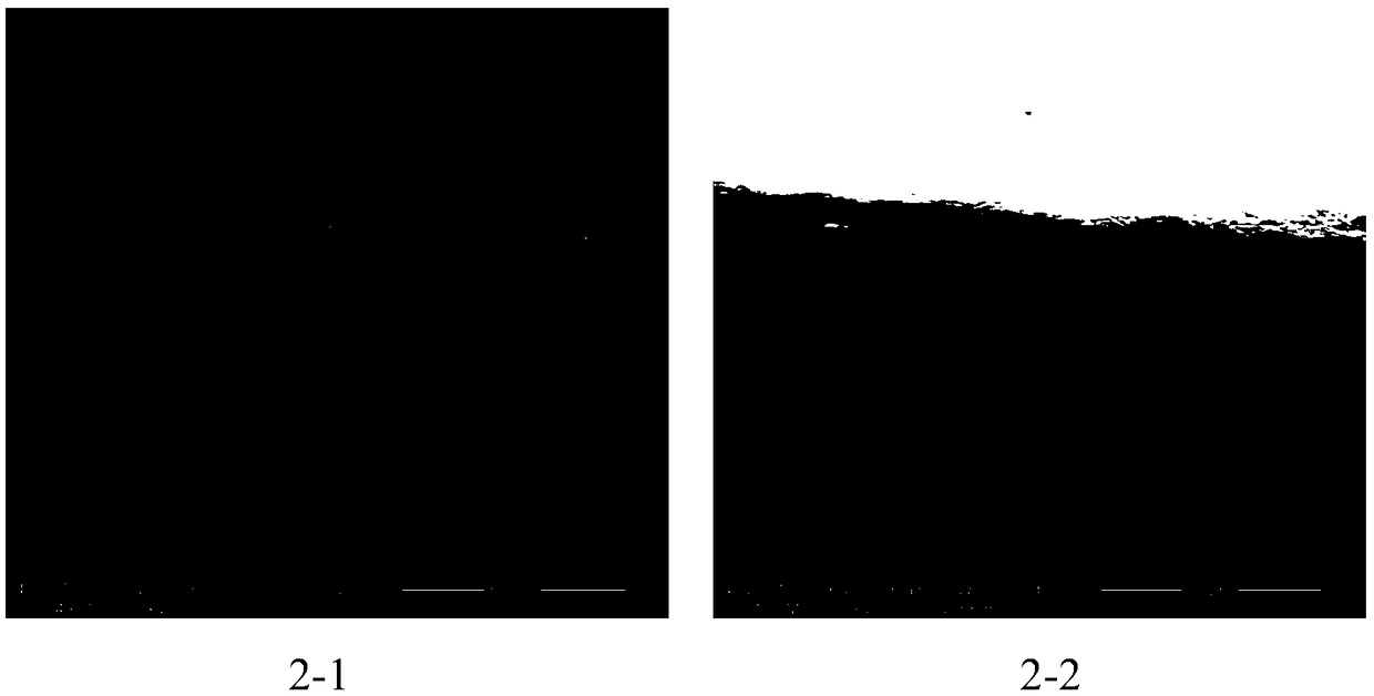 A lithium alloy strip and a preparation method thereof