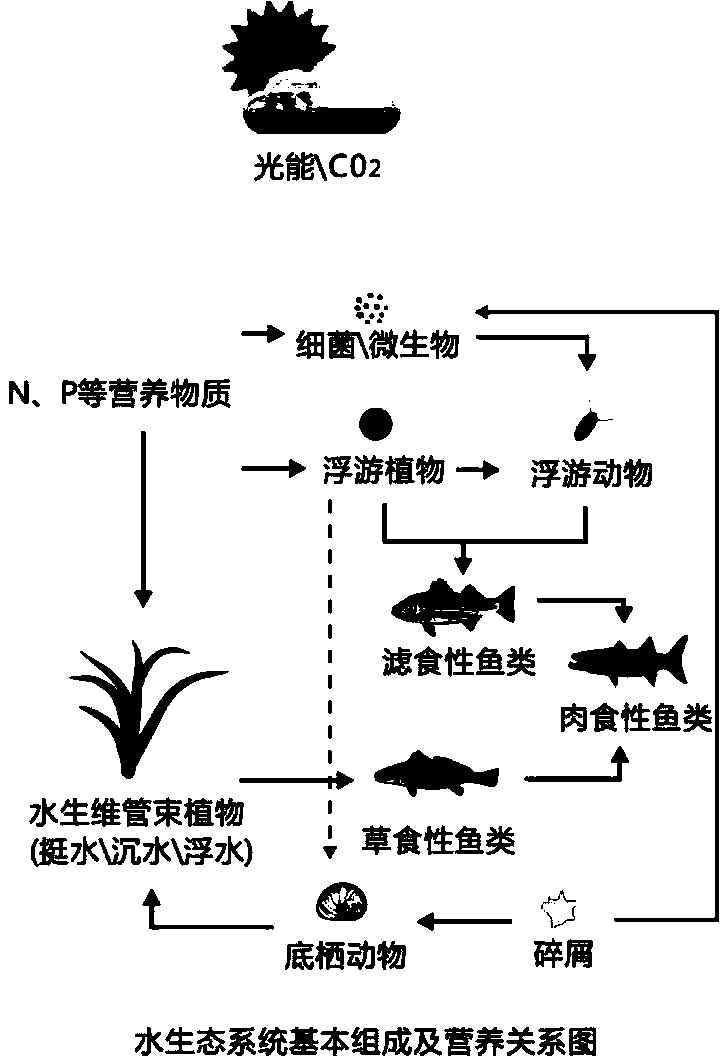 Multi-dimensional ecological system remediation method