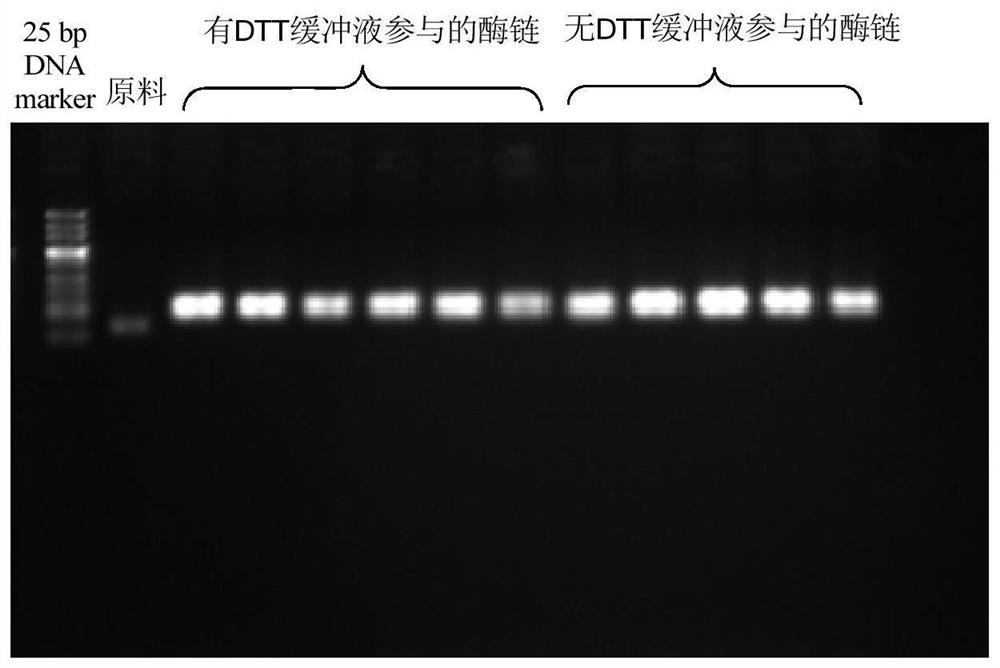 T4 DNA ligase buffer for enzyme chain reaction in synthesis of dna-encoded compound library and its application