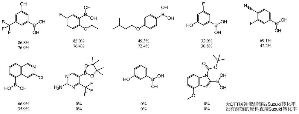 T4 DNA ligase buffer for enzyme chain reaction in synthesis of dna-encoded compound library and its application