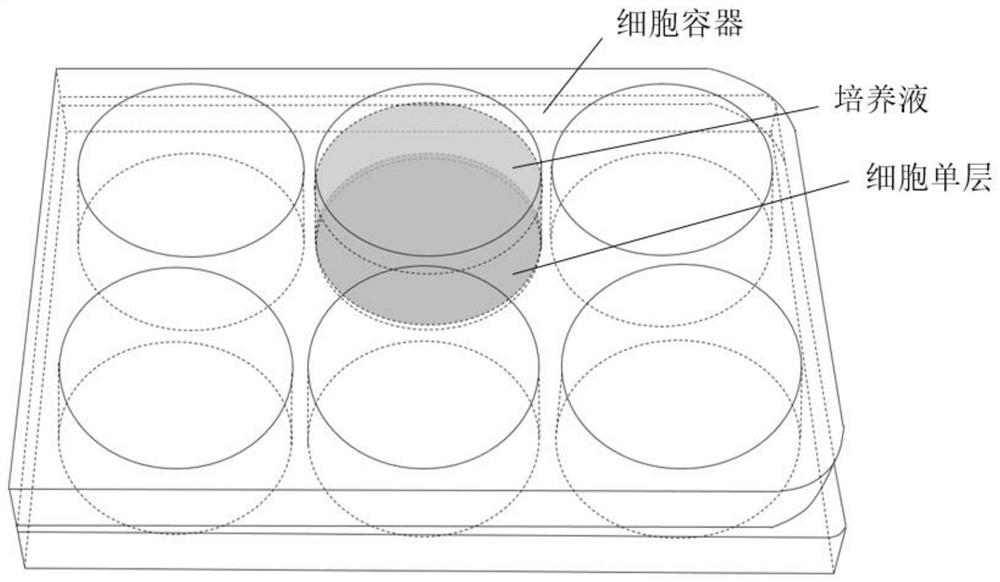 Millimeter wave cell radiation experimental apparatus assembled with planar choke ring