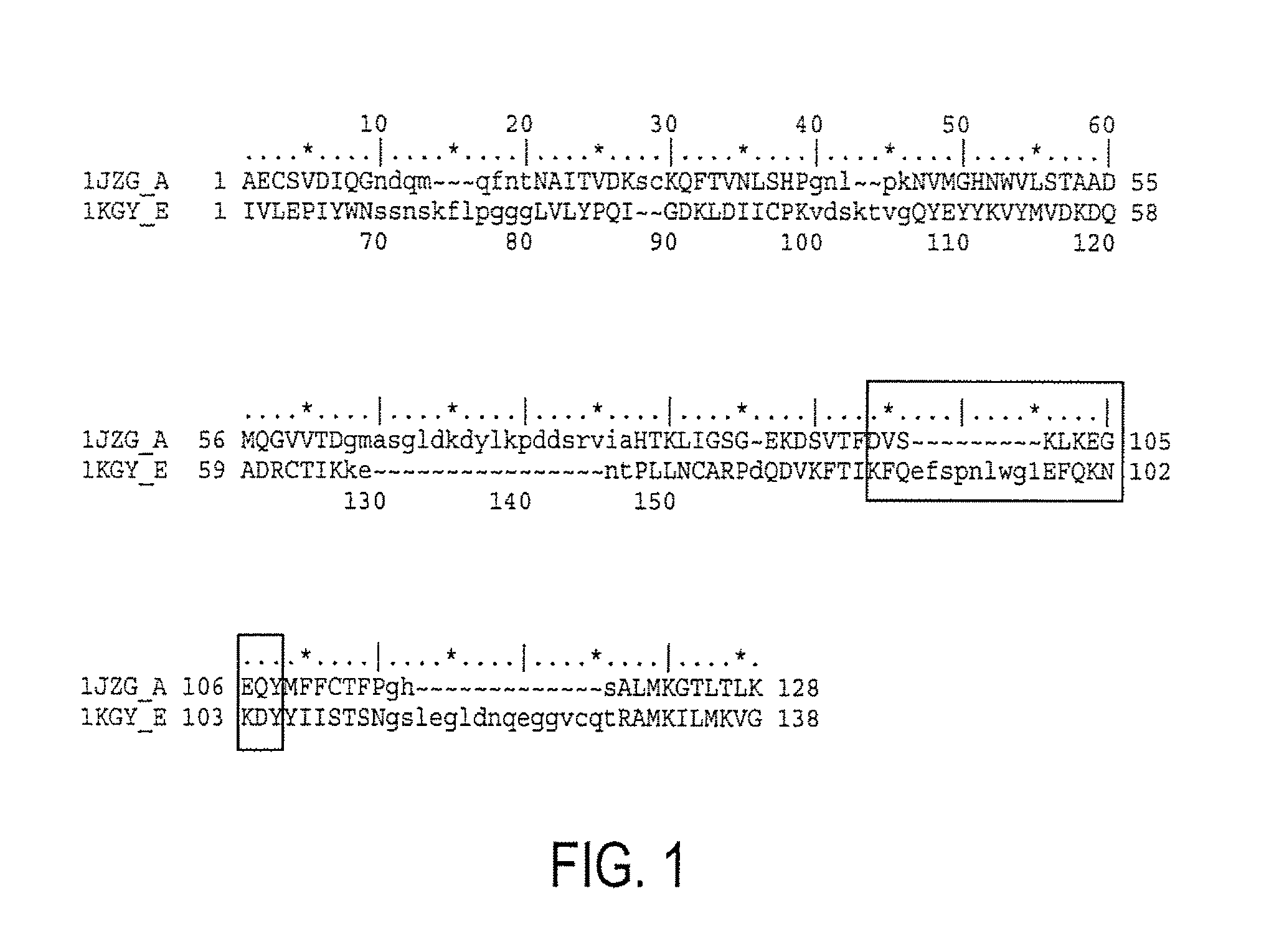 Compositions and methods for treating conditions related to ephrin signaling with cupredoxins and mutants thereof