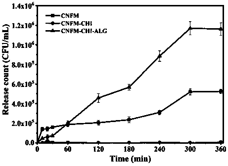 Core-shell structure cellulose-based probiotic microcapsule and preparation method thereof