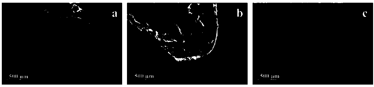 Core-shell structure cellulose-based probiotic microcapsule and preparation method thereof