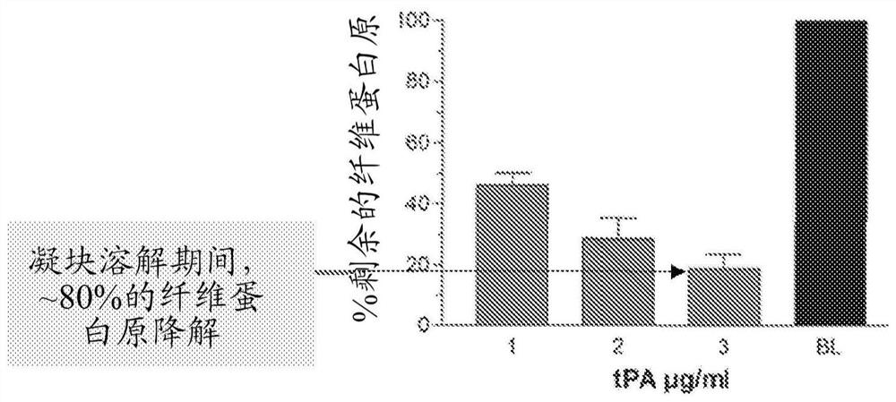 Methods and compositions for safe and effective thrombolysis