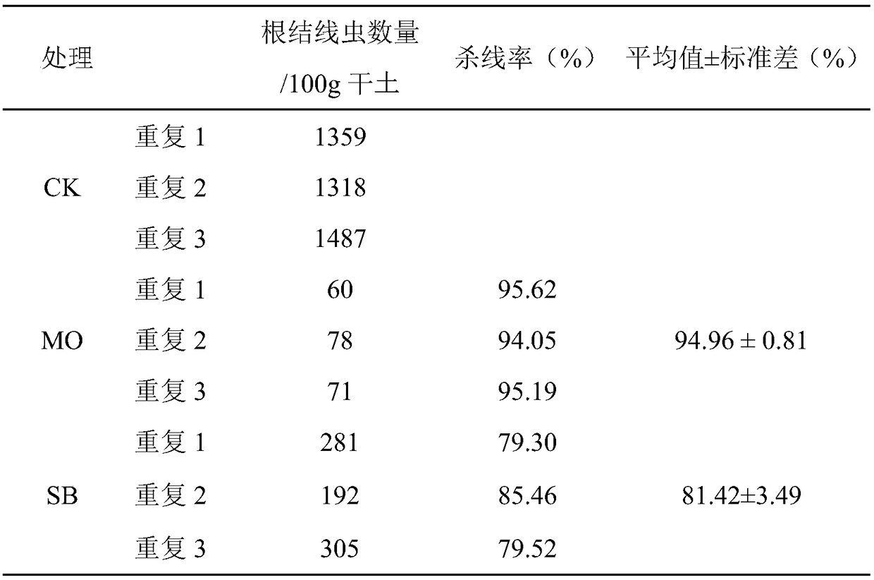 Soil treatment agent for preventing and treating root-knot nematode disease and preparation method and application method thereof