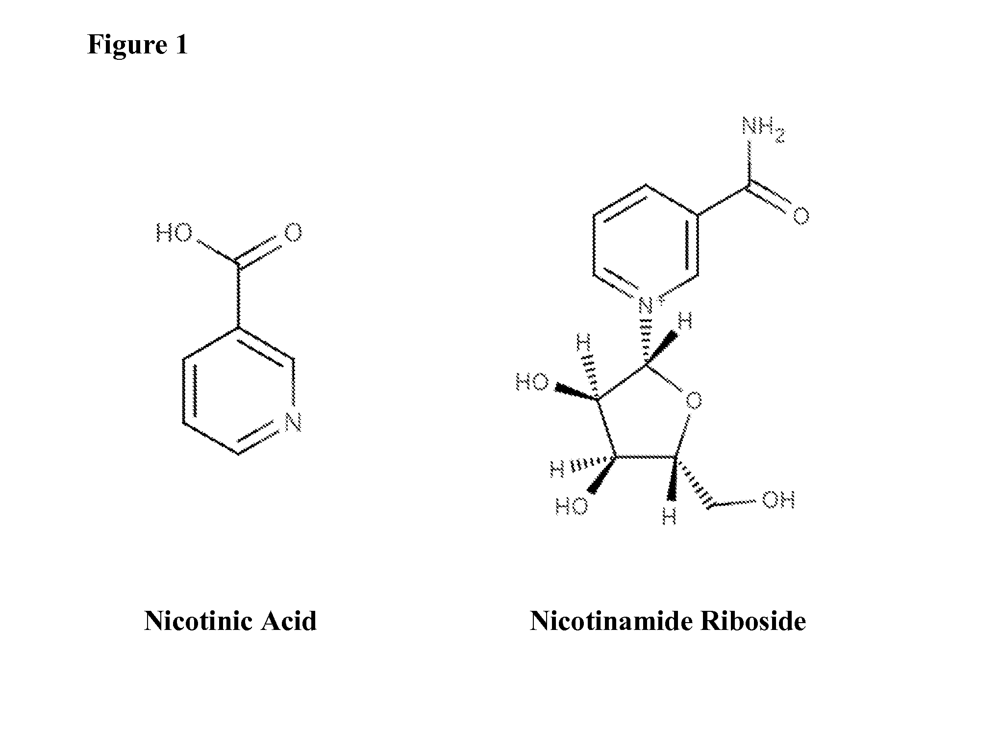 Leucine and nicotinic acid reduces lipid levels