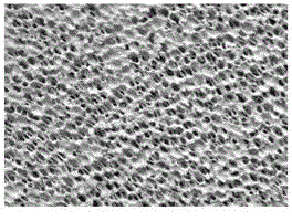 Preparation method of defluorination and adsorption material by taking magnesite as raw material