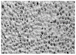 Preparation method of defluorination and adsorption material by taking magnesite as raw material