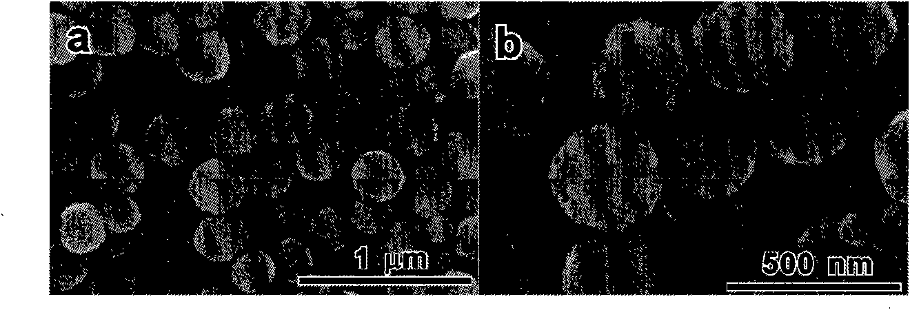 Method for synthesizing spherical superparamagnetic ferrite nano druse