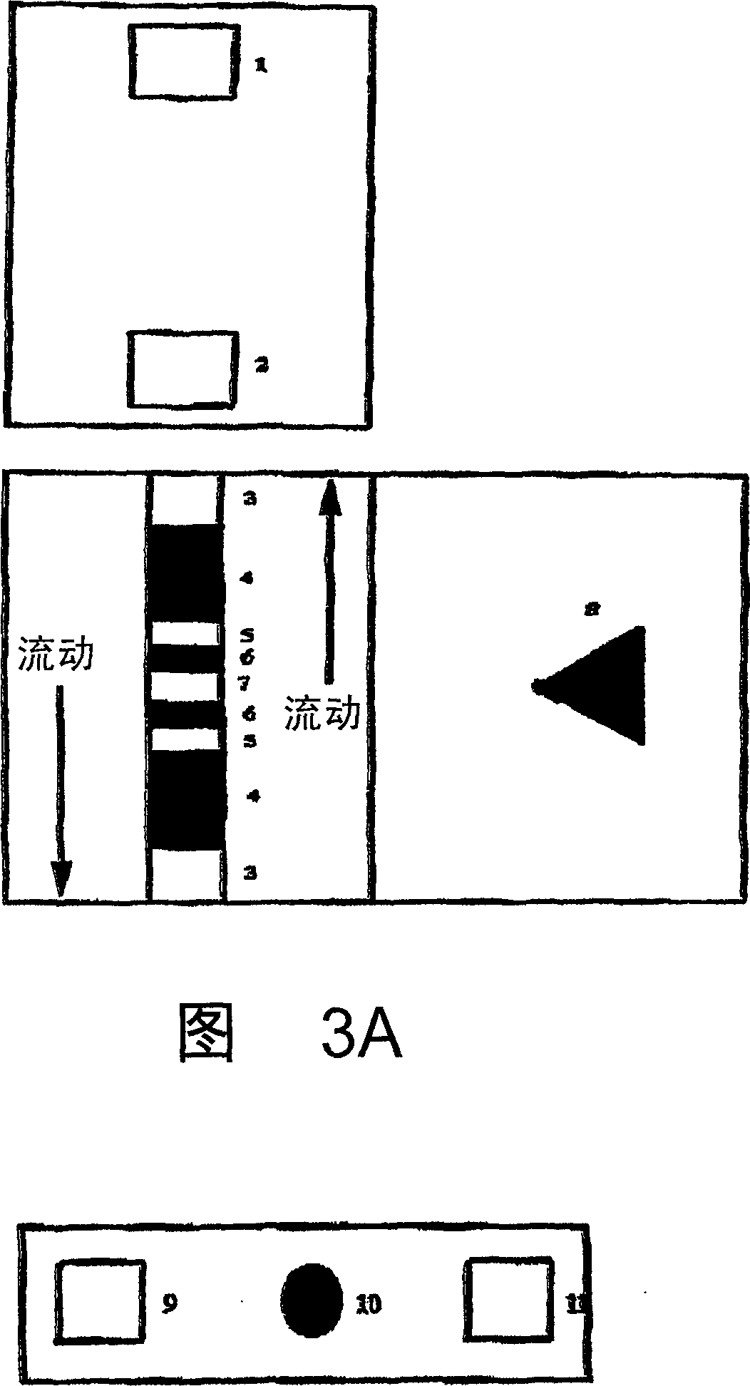 Chromatographic exclusion agglutination assay and methods of use thereof