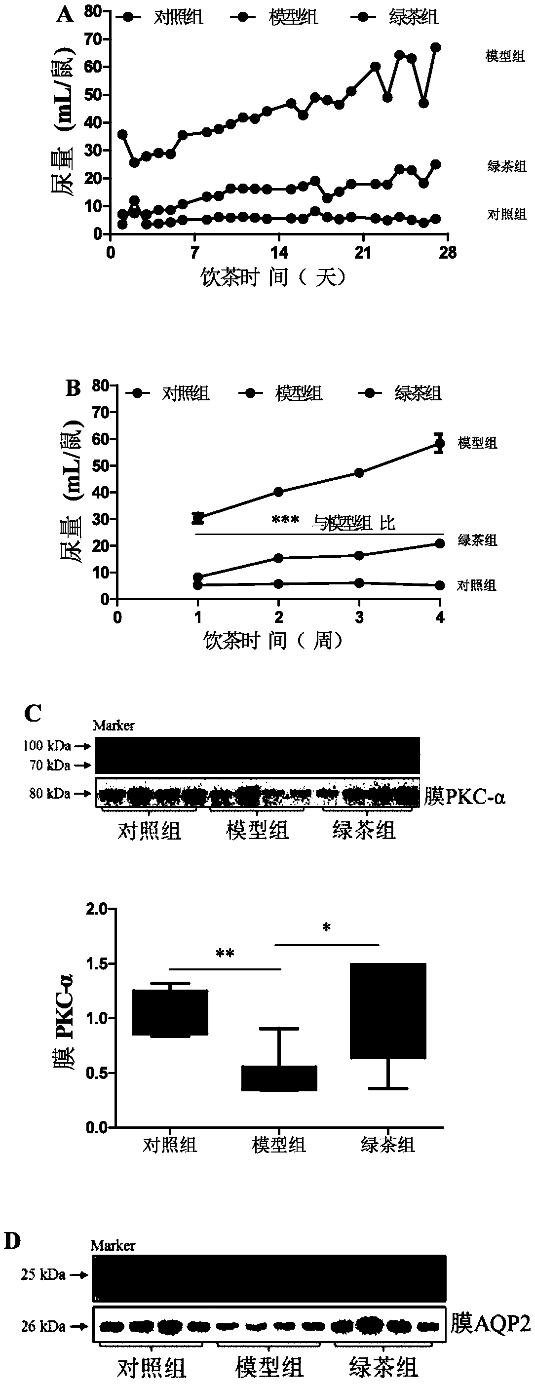 Application of tea to preparation of medicines for relieving polyuria symptoms caused by diabetes