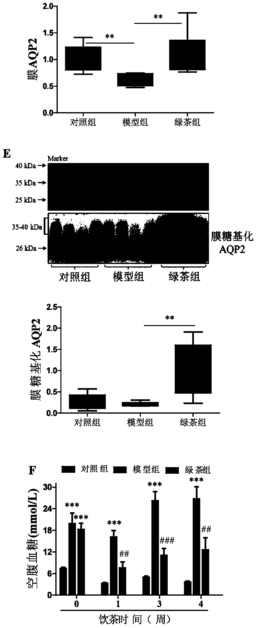 Application of tea to preparation of medicines for relieving polyuria symptoms caused by diabetes