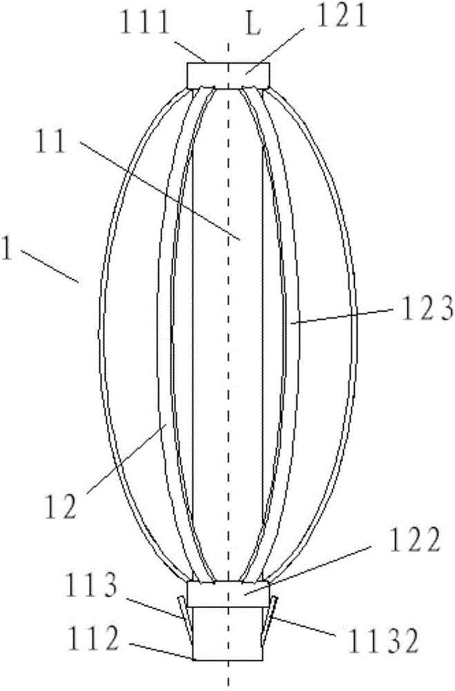 Nasal sinus stent and conveying system