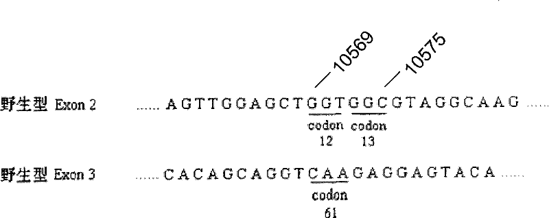 Detection probe of kRas gene mutation, liquid phase chip and detection method thereof