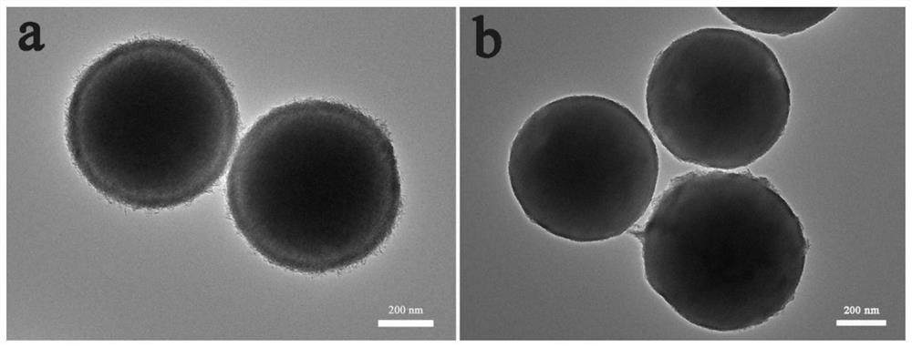 Core-shell nickel ferrite and its preparation method, nickel ferrite@c material and its preparation method and application