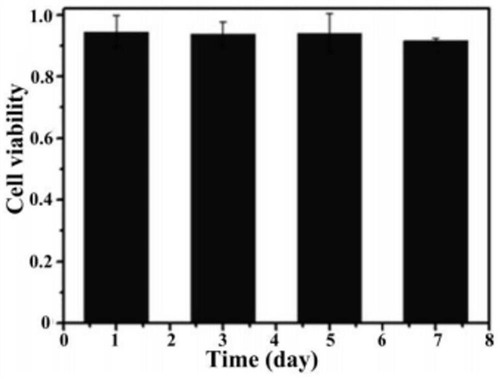 Cell culture paper as well as preparation method and application thereof