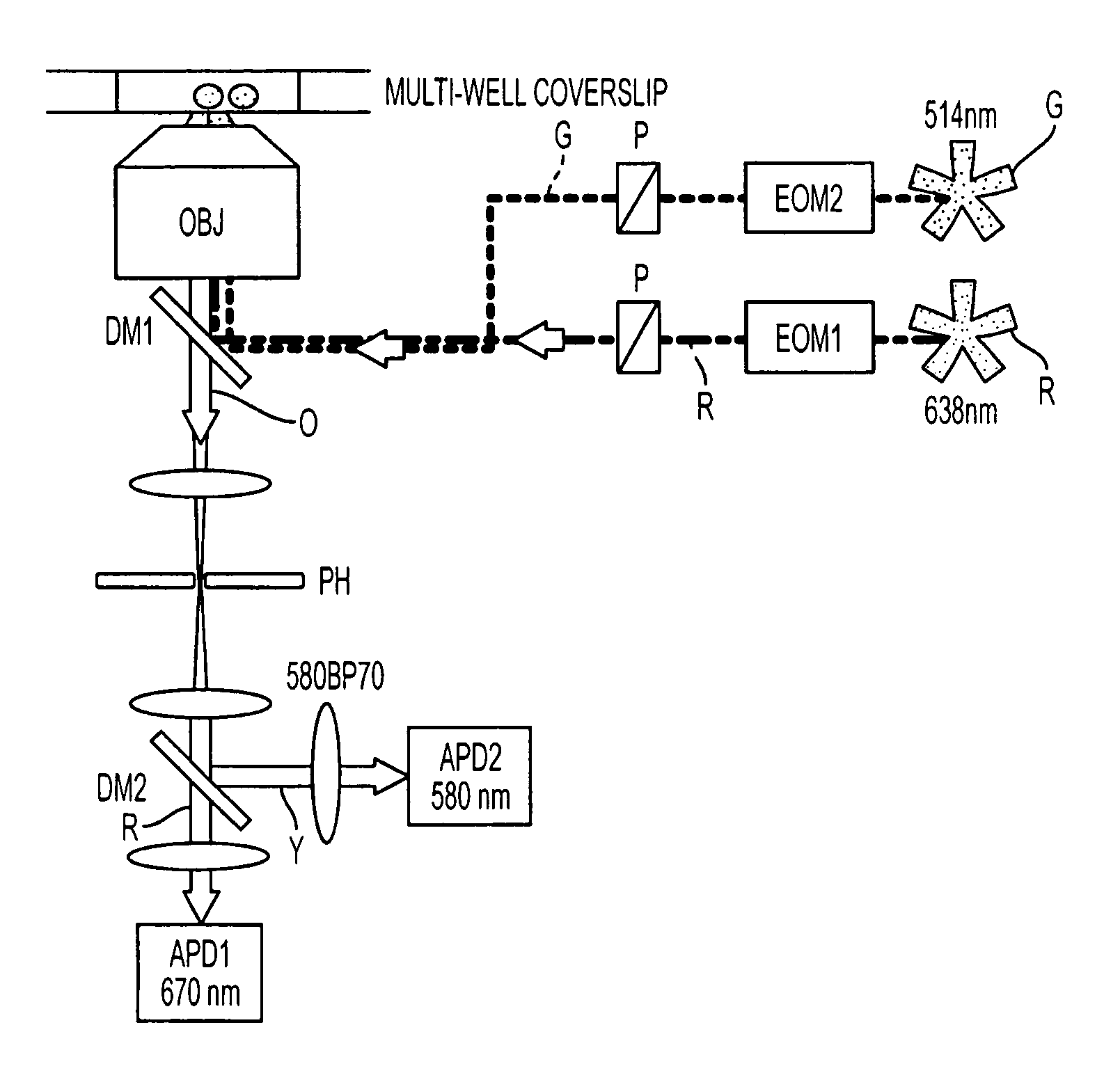 Modulated excitation fluorescence analysis