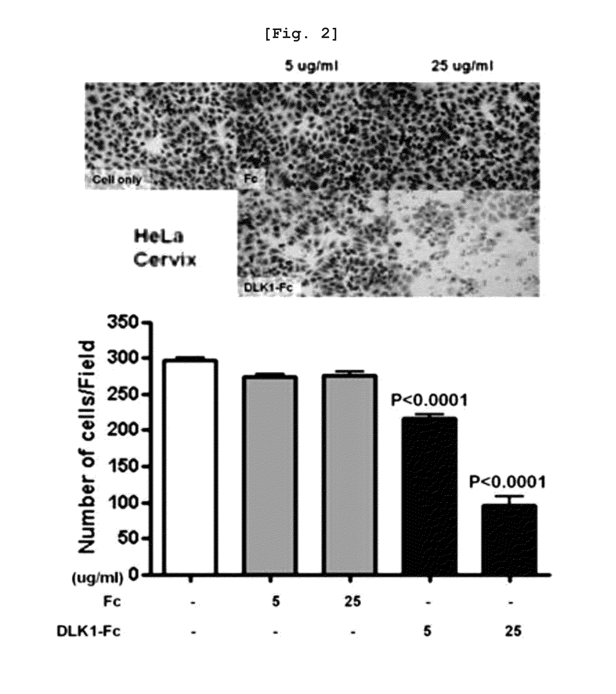 Activin Receptor Type II B Inhibitors Comprising DLK1 Extracellular Water-Soluble Domain