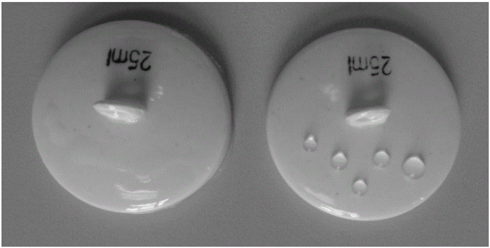 A kind of preparation method of hydrophobic ceramic surface