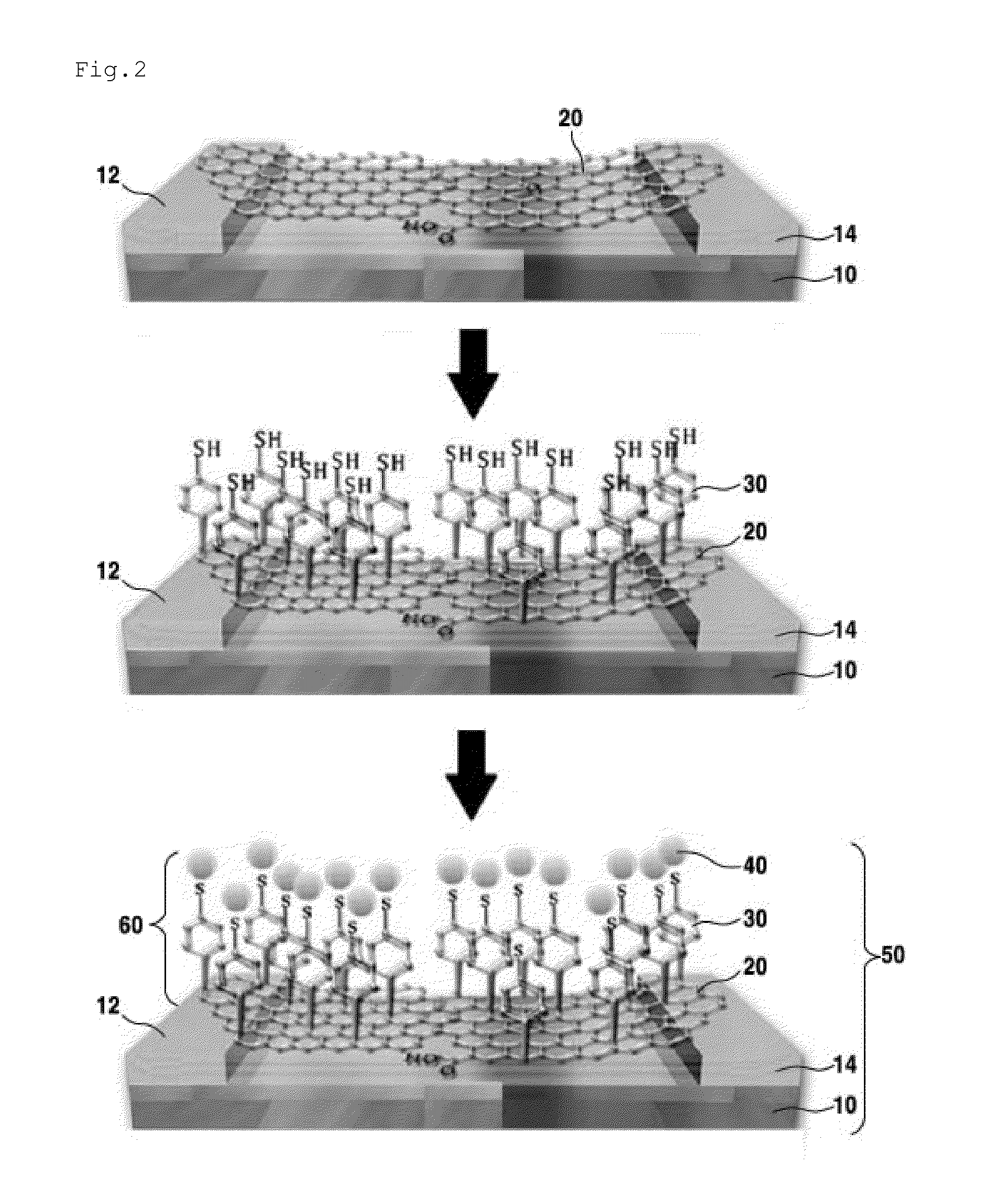 Biosensor comprising reduced graphene oxide layer