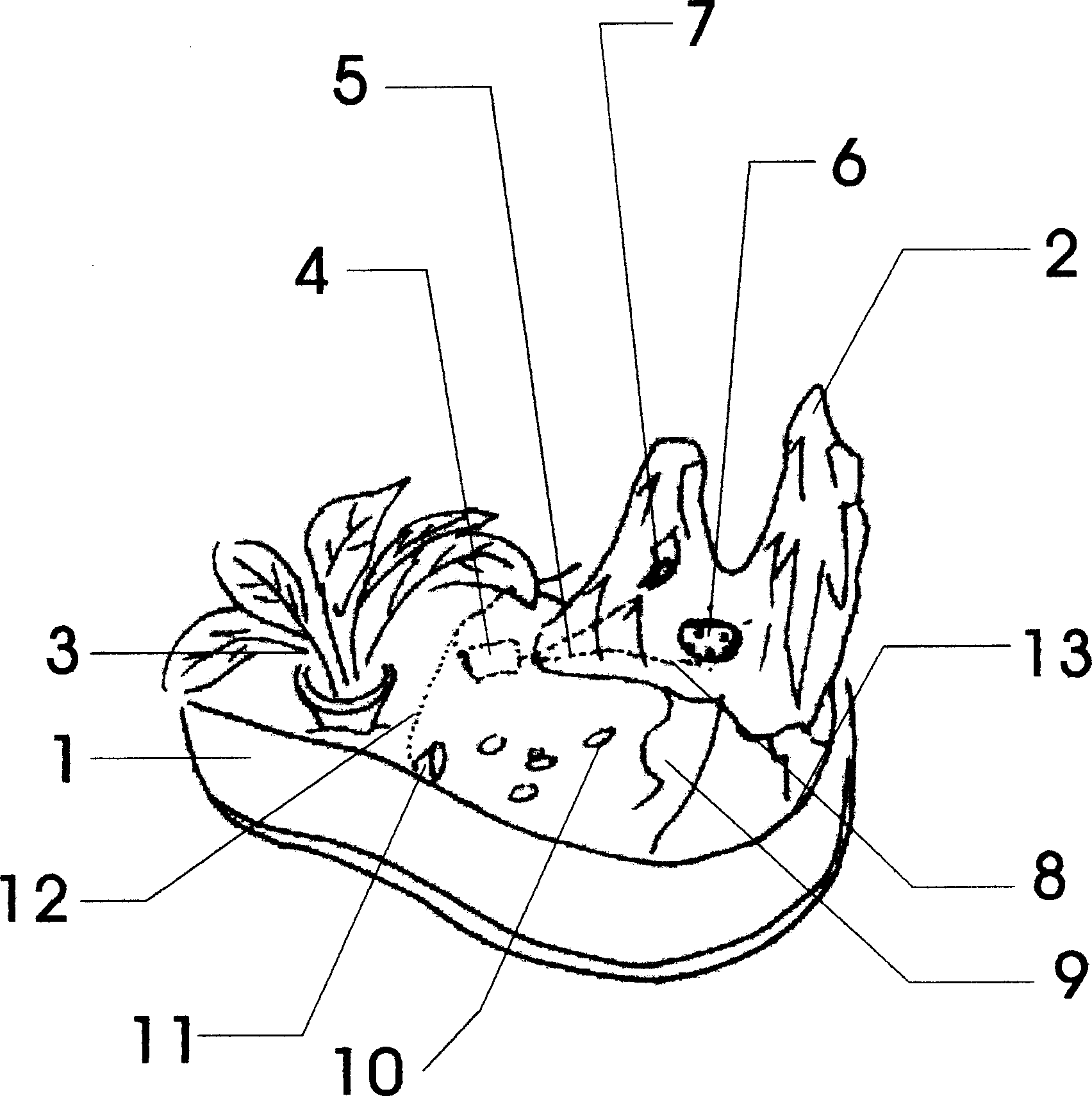 Portable landscape fishing pool