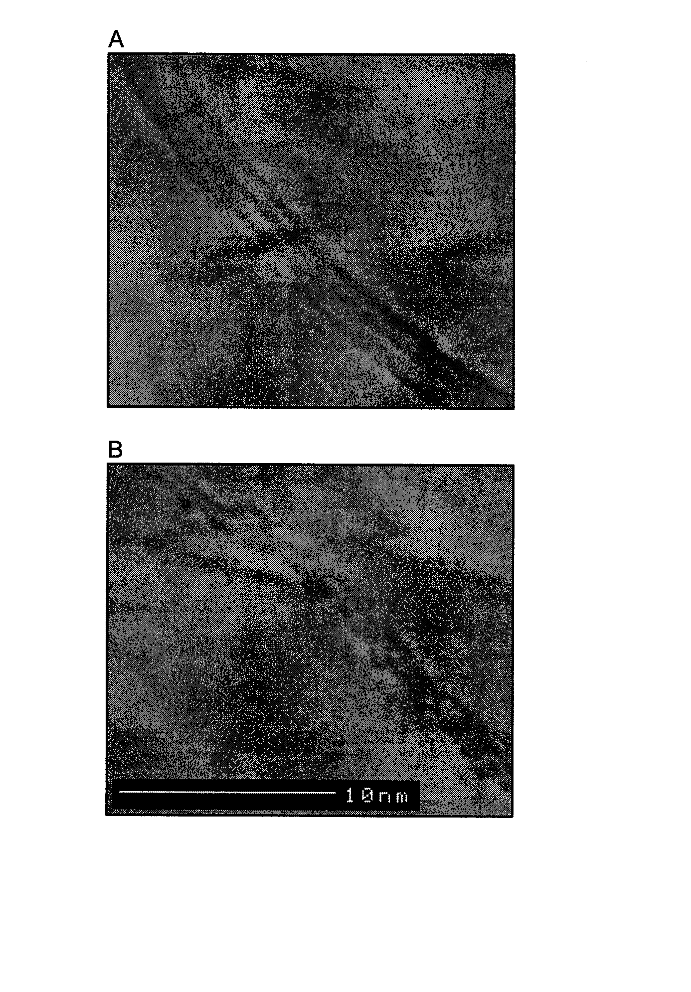 Process for derivatizing carbon nanotubes with diazonium species and compositions thereof