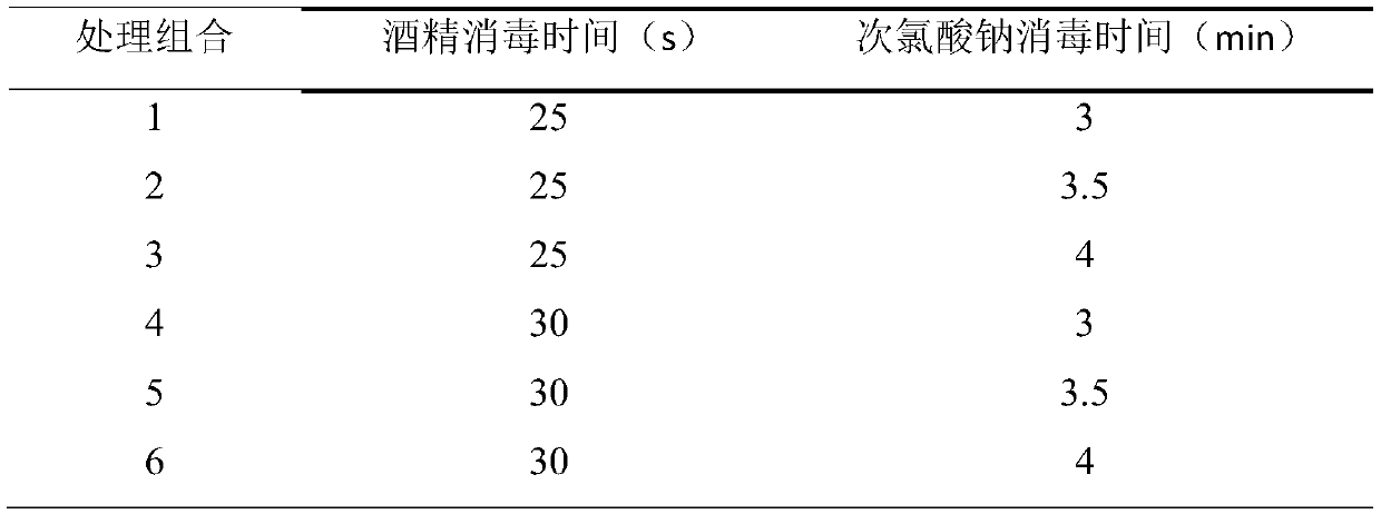 Callus induction and subculture medium for cyclocarya paliurus, and culture method thereof