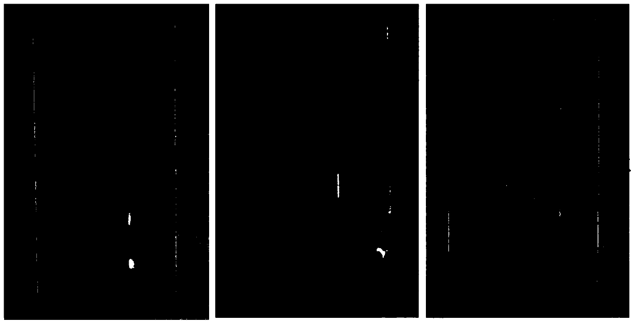 Low-cost high-wear-resistance UV-curing coating and preparation method and application thereof