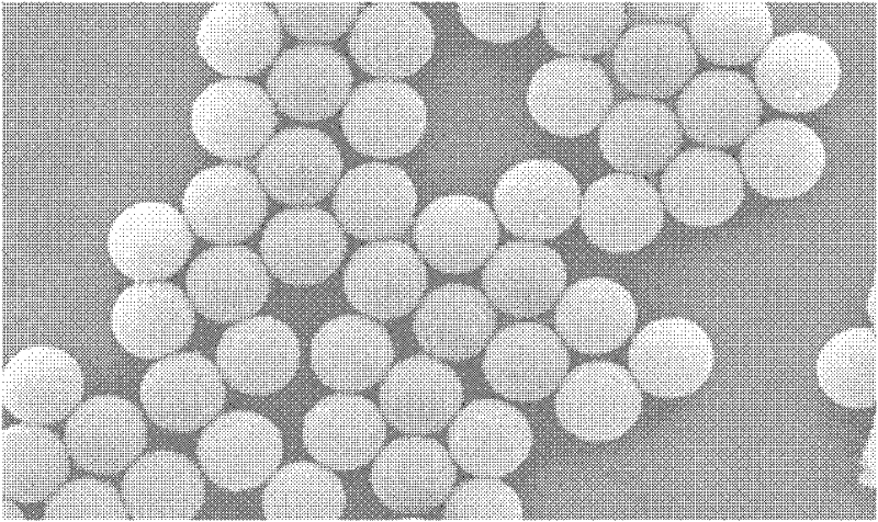 Magnetic fluorescent microspheres and preparation method thereof